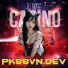 pk88vndev